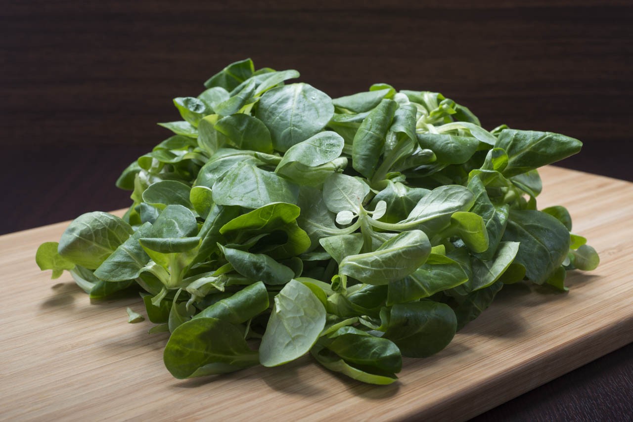 Songino o valeriana