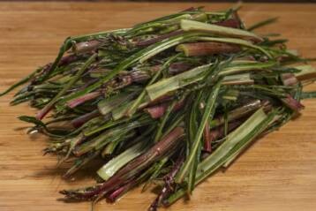 Cicoria rossa mondata