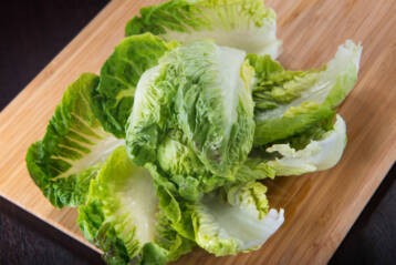 Lattuga mortarella crudité